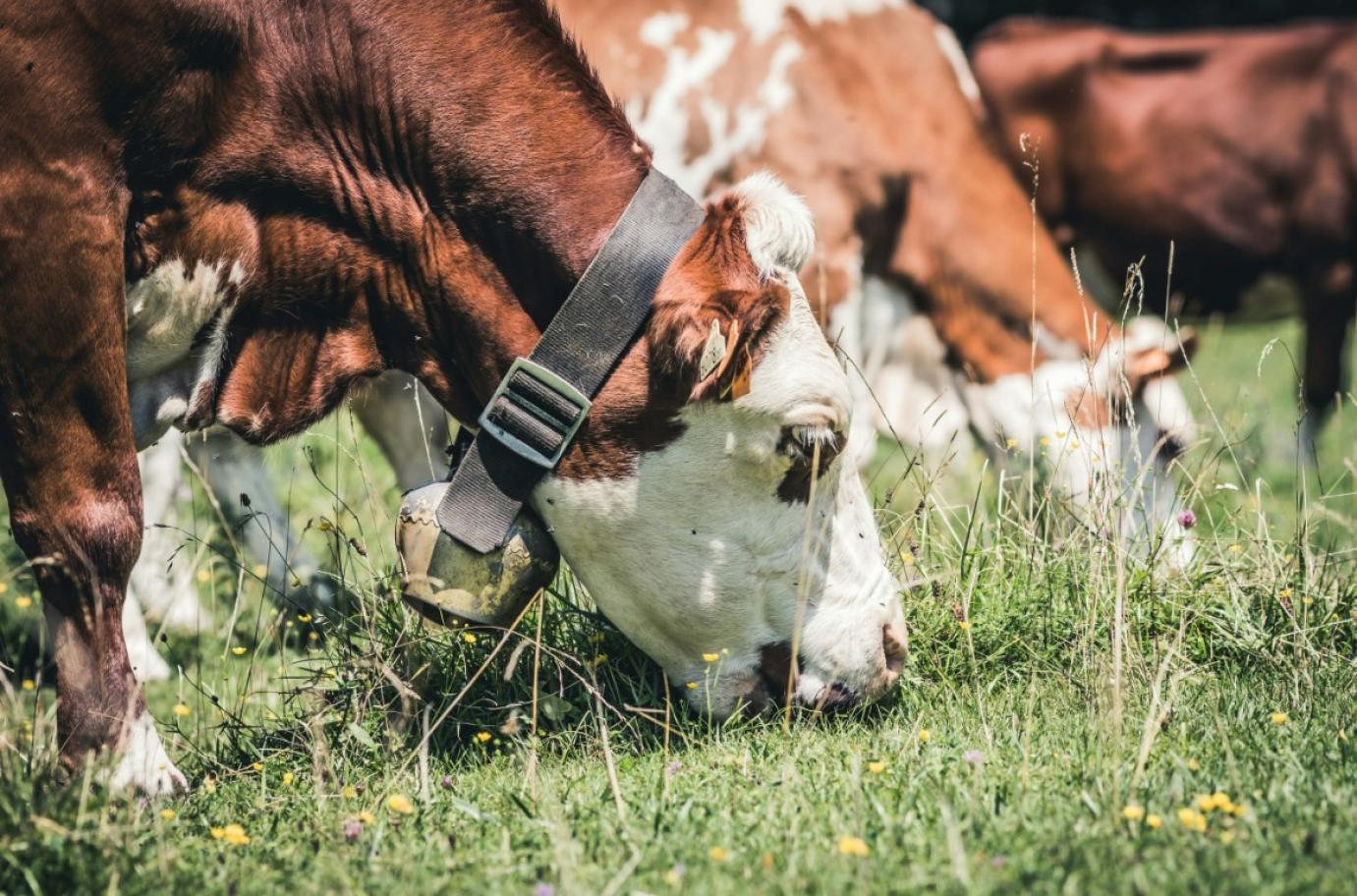 A Dublini Nyilatkozat folytatásaként megszületett a Denveri Cselekvési Felhívás