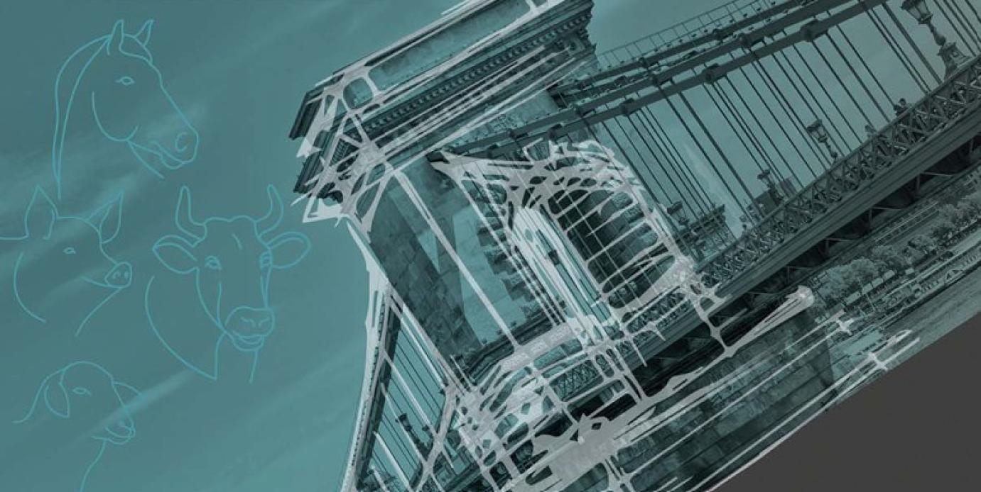 30 éves a Magyar Állattenyésztők Szövetsége - dokumentumfilm