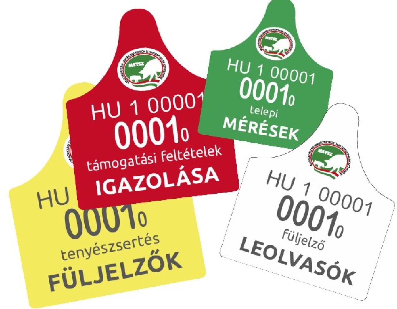 Önálló besorolású sertéstenyészetekkel kapcsolatos feladatok