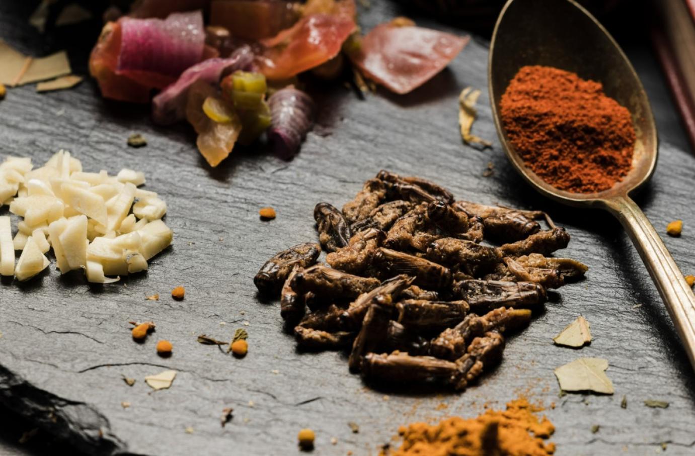 LABORHÚS ÉS ROVARFEHÉRJE - Heves viták az EU-BAN az új típusú élelmiszerek kapcsán