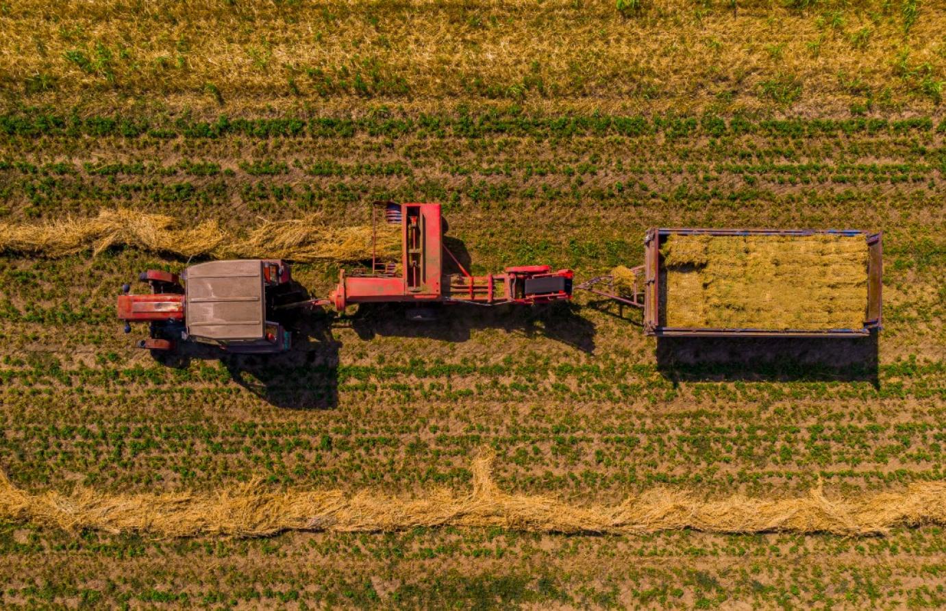 A TAVALYINÁL SIKERESEBBEK LEHETNEK AZ IDEI KÉRELEMBEADÁSOK