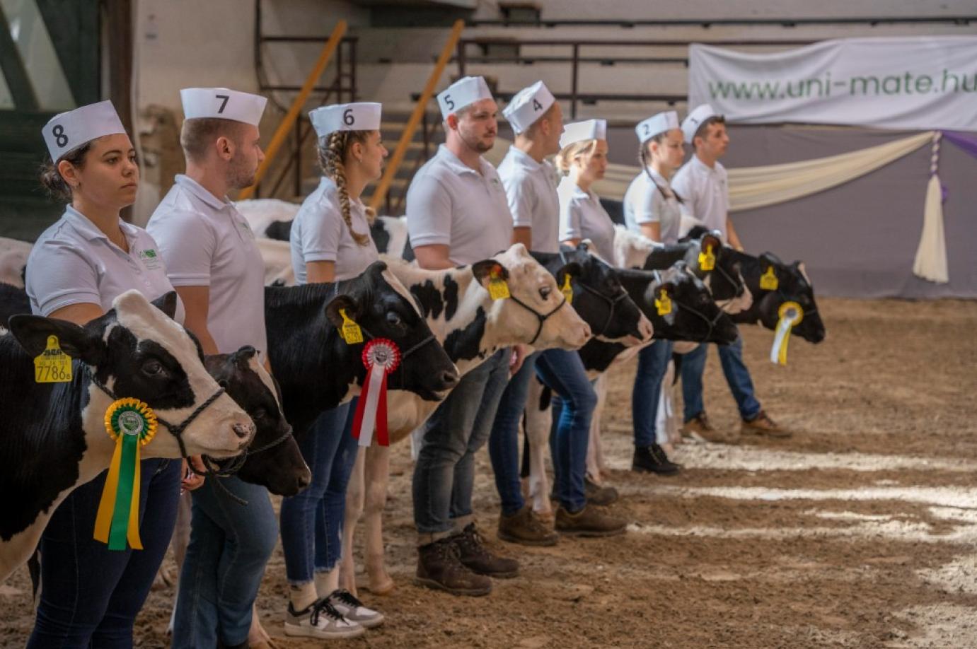 Szétválik a törzskönyv – Mi történik a fajtával?