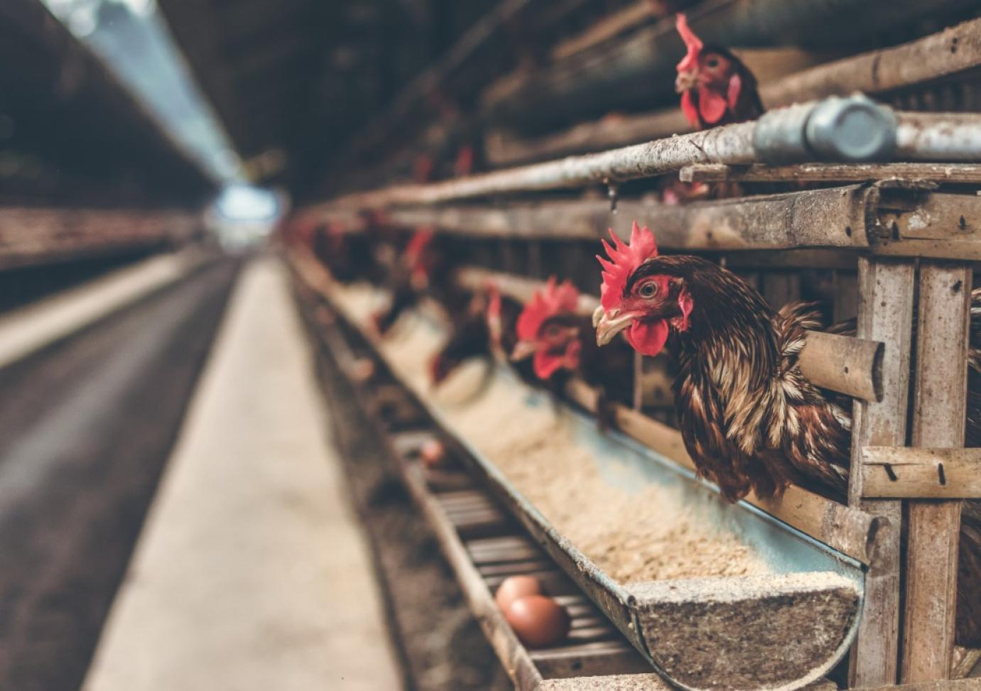 Az uniós szabályok mindenkire vonatkoznak. Vagy mégsem?