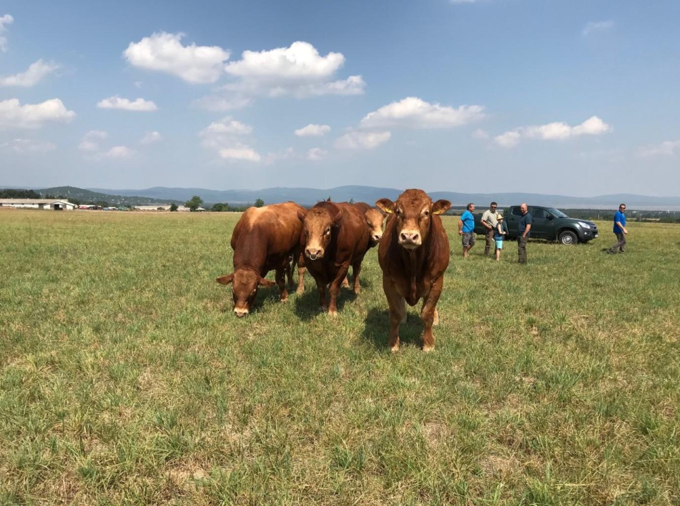 "Klímavédelmi szempontrendszer integrálása a mezőgazdasági szaktanácsadásban" címmel új Mezőgazdasági Kézikönyv jelent meg