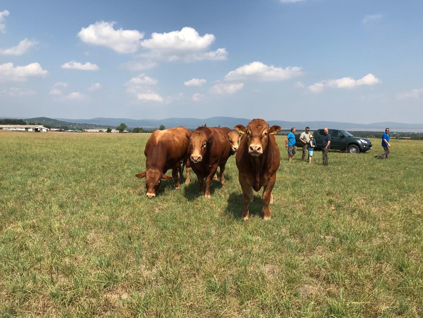 Lezárult a 2019. évi agrártámogatások előlegfizetési időszaka