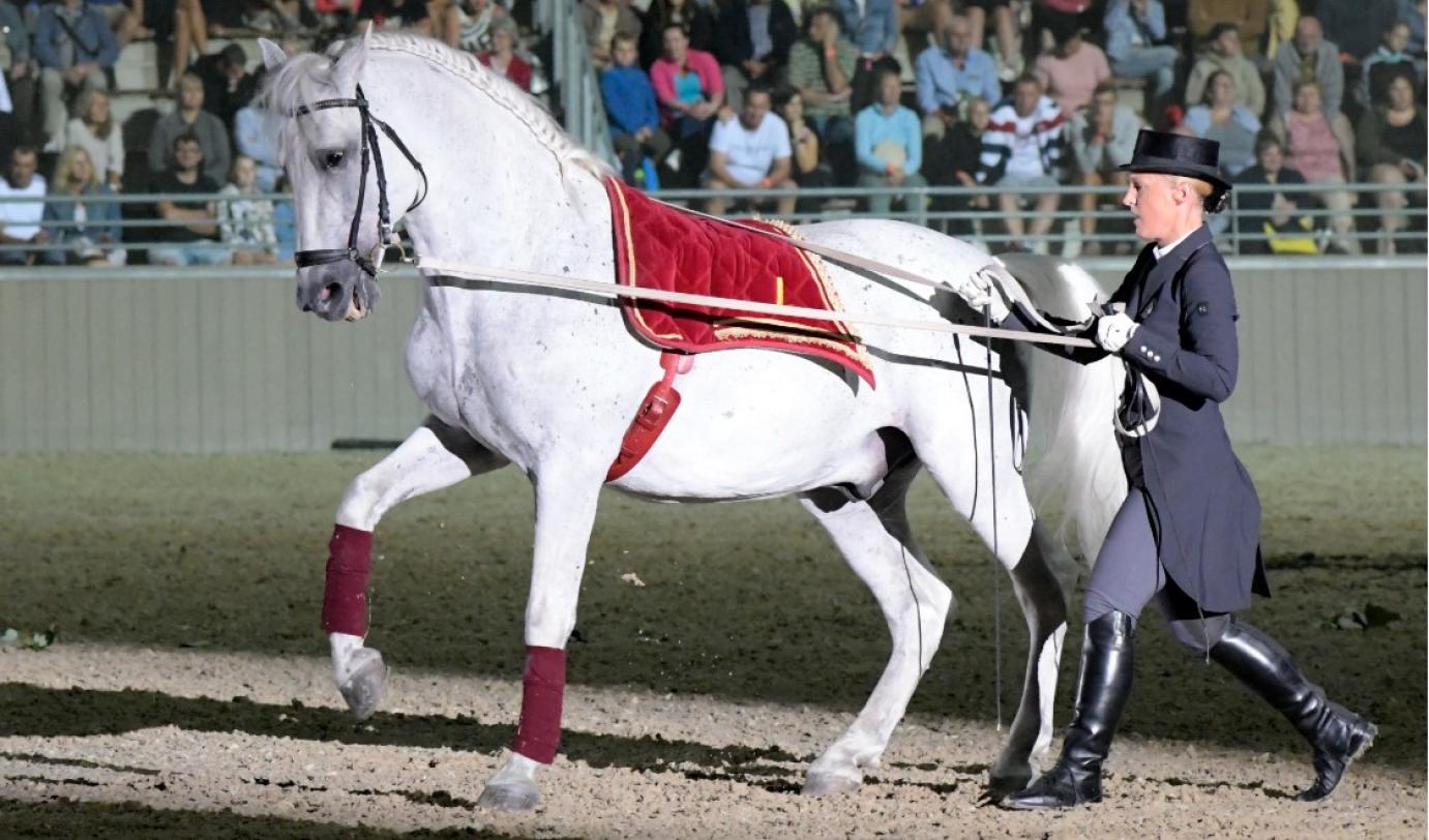 Fergeteges lovasgála Szilvásváradon