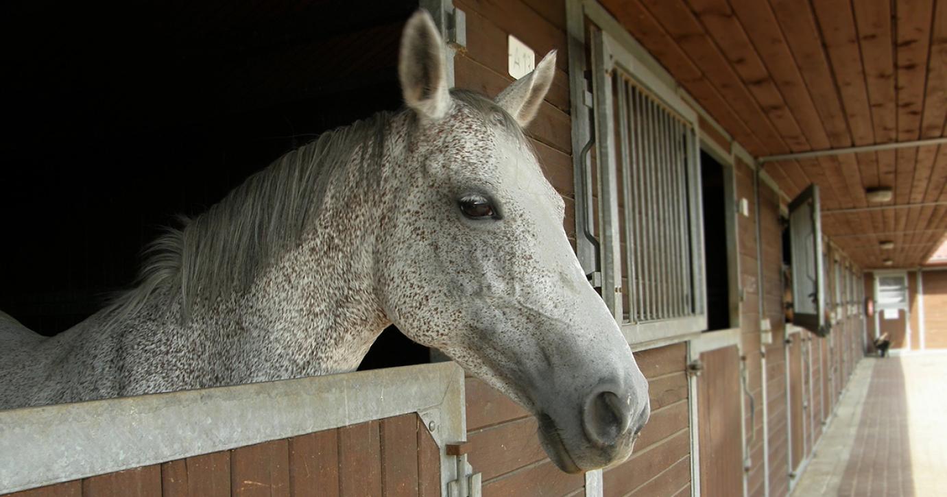 Segítség a nyilvántartás vezetéséhez