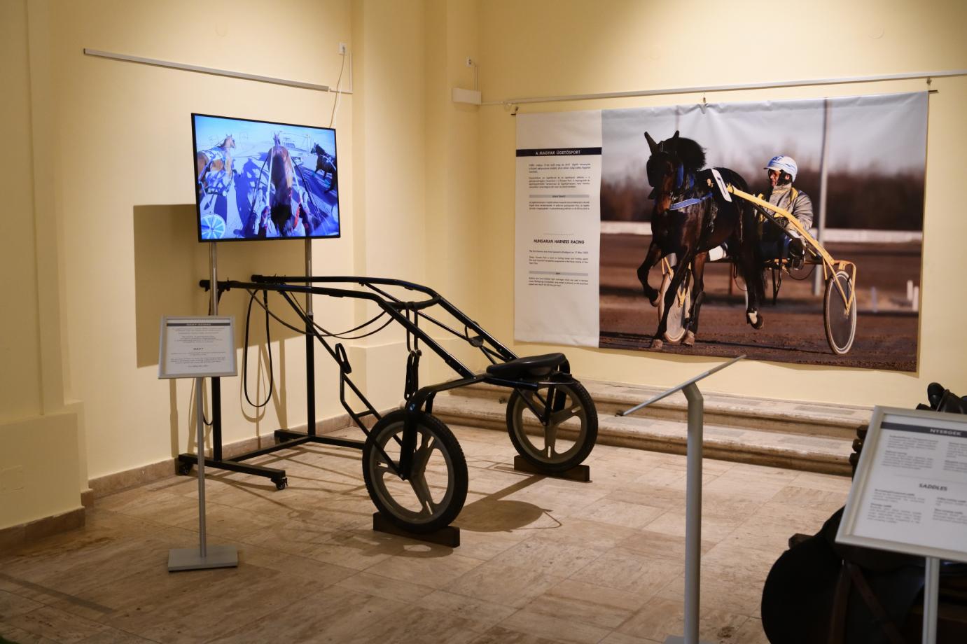 Egy kiállítás lovakról nem csak lovasoknak kép