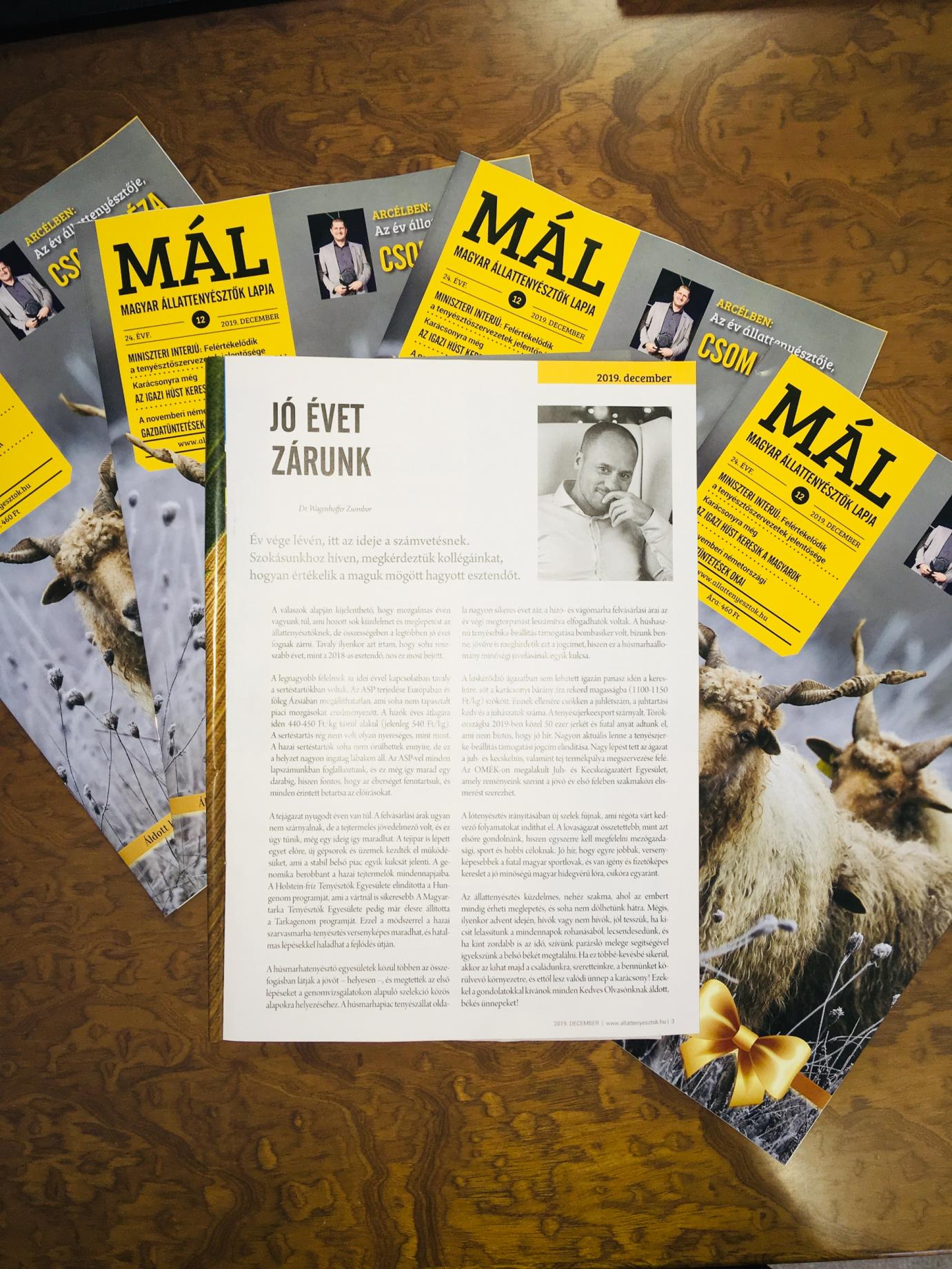 Jó évet zárunk - Megjelent a MÁL decemberi száma