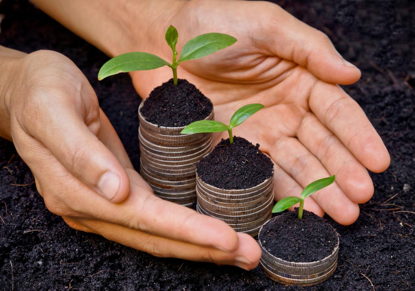 MEGJELENT A 2022. ÉVI EGYSÉGES TERÜLETALAPÚ TÁMOGATÁS, VALAMINT AZ EGYÉB KÖZVETLEN TÁMOGATÁSOK ÖSSZEGEINEK MEGÁLLAPÍTÁSÁRÓL SZÓLÓ RENDELET