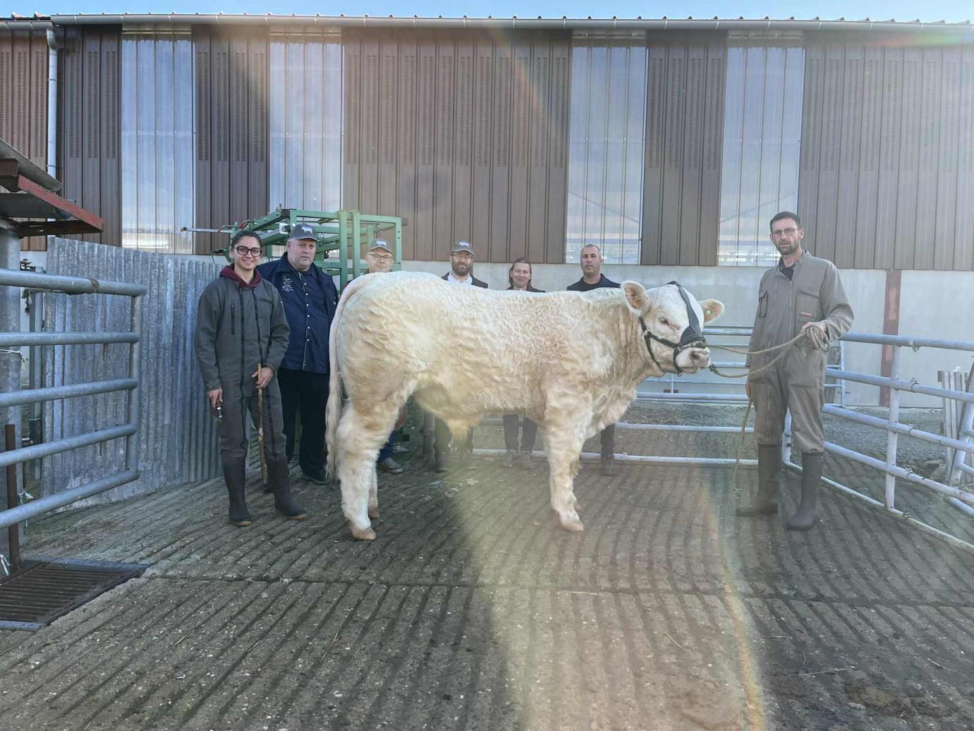 Magyar döntés Franciaországban