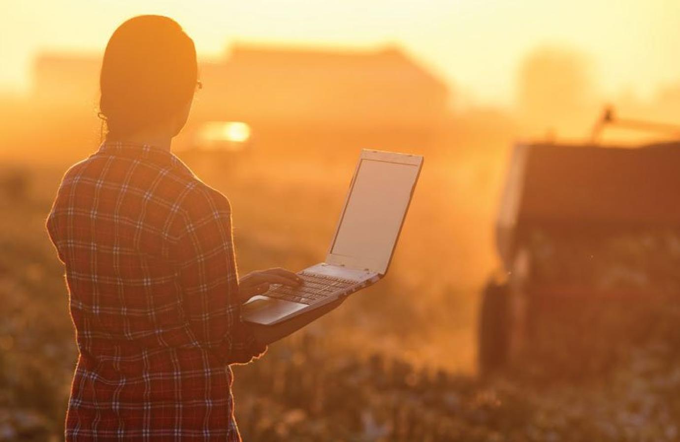 Mezőgazdasági összeírás: november 14. és december 15. között