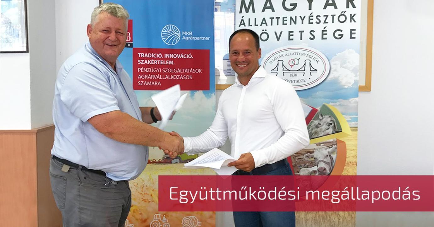 Együttműködési megállapodást kötött a MÁSZ a MKB Bankkal