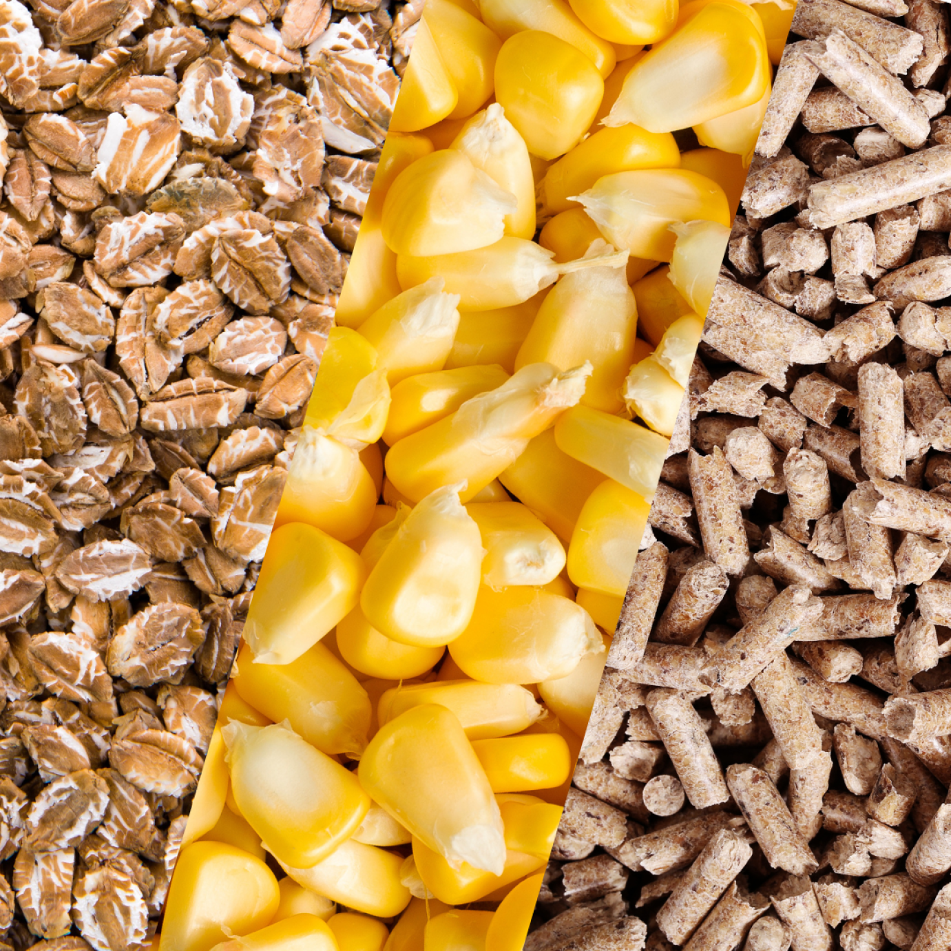 Videóinterjú Anton Van Den Brink-kel: az Európai Takarmánygyártók Szövetségéről és a körforgásos takarmányozásról