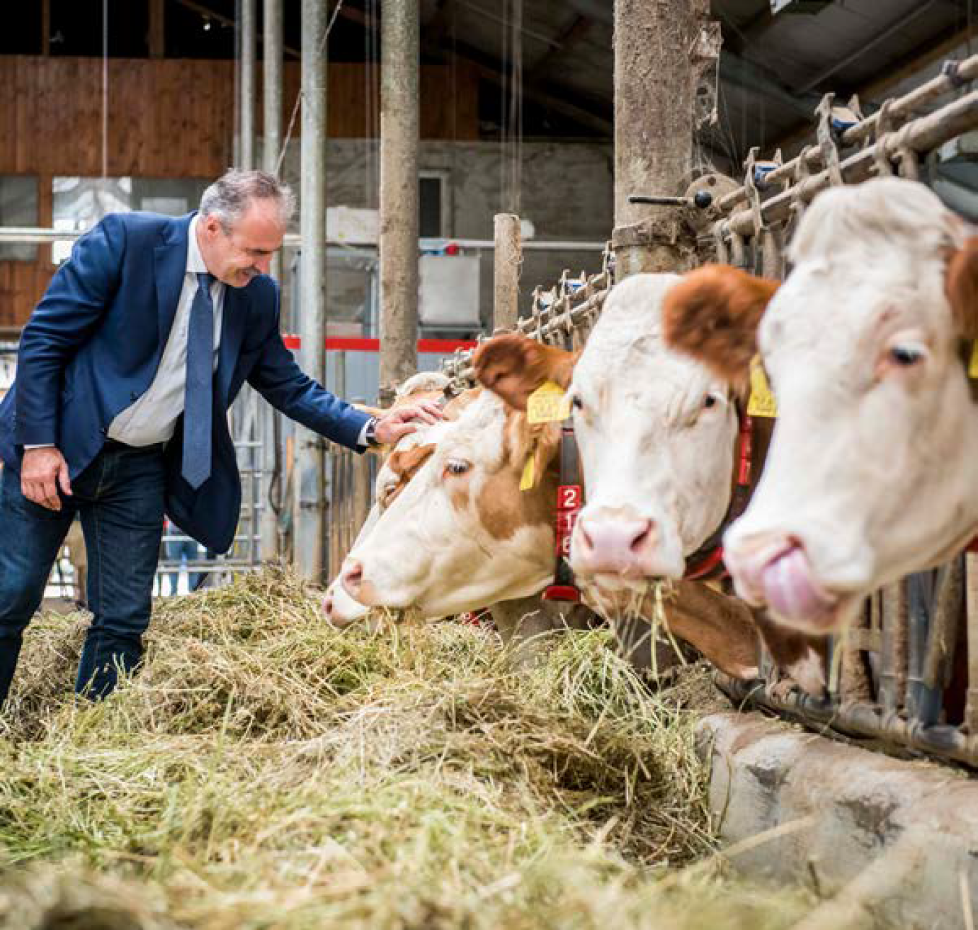 Nagy István: a nemzetgazdaság első féléves külkereskedelmi többletének több mint a felét az agrárium adta