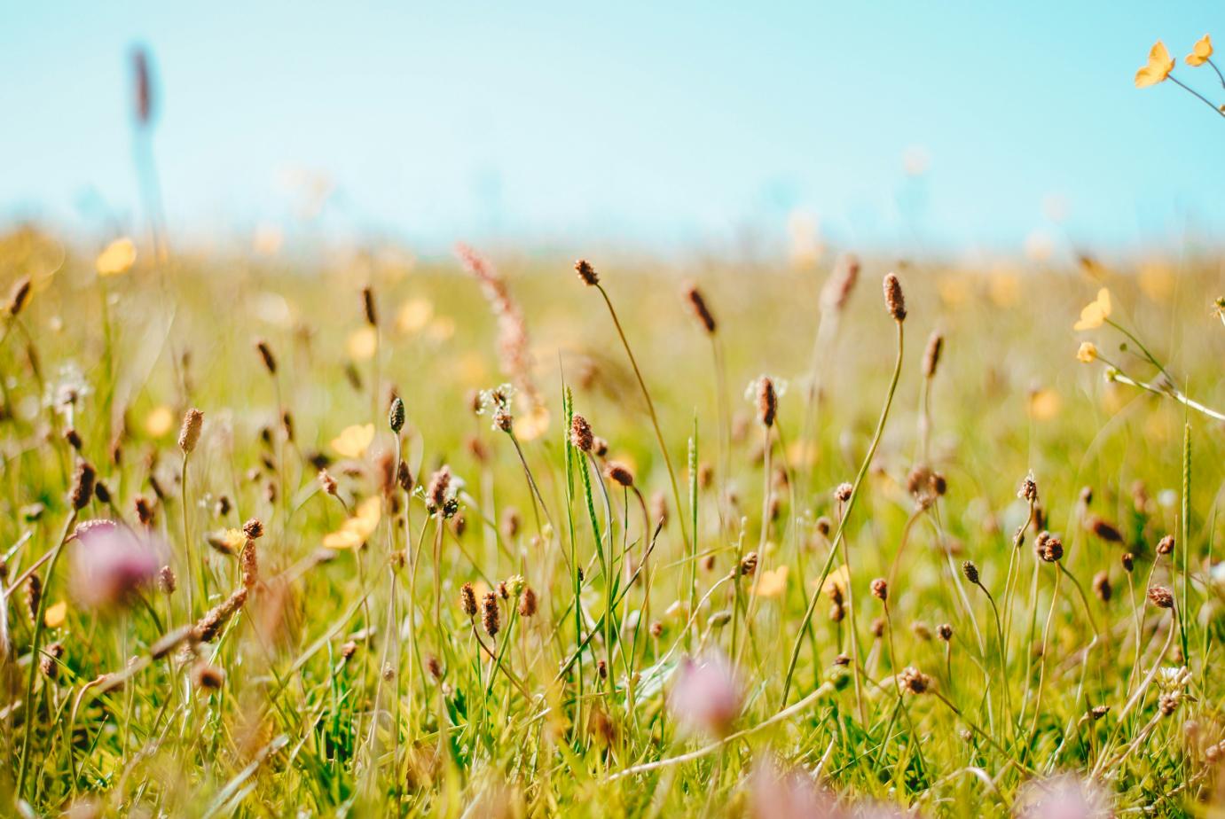 Hibajavítások az eGN-ben az egységes kérelmek kapcsán