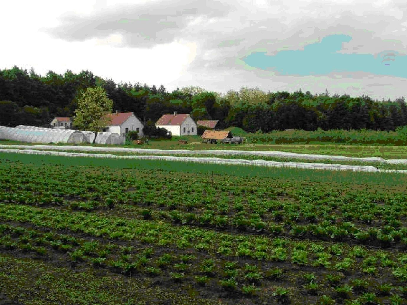 Tájékoztató az új KAP keretei között induló Agroökológiai Programról