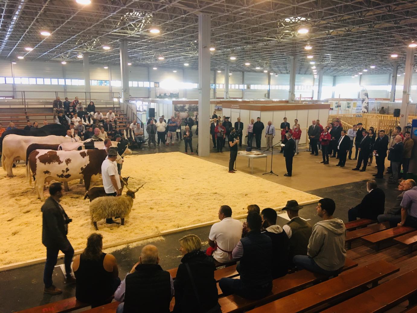 Átadtuk az OMÉK állattenyésztési különdíjait