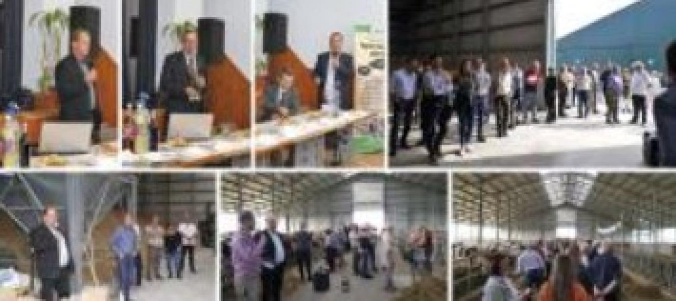 Példaértékű összefogás Öregcsertőn