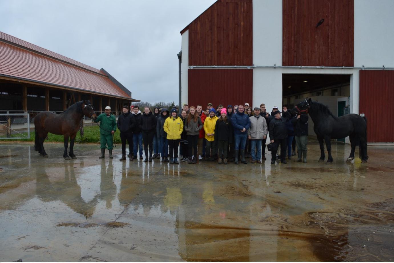 Szakmai tanulmányúton jártak az Óvári állattenyésztő hallgatók