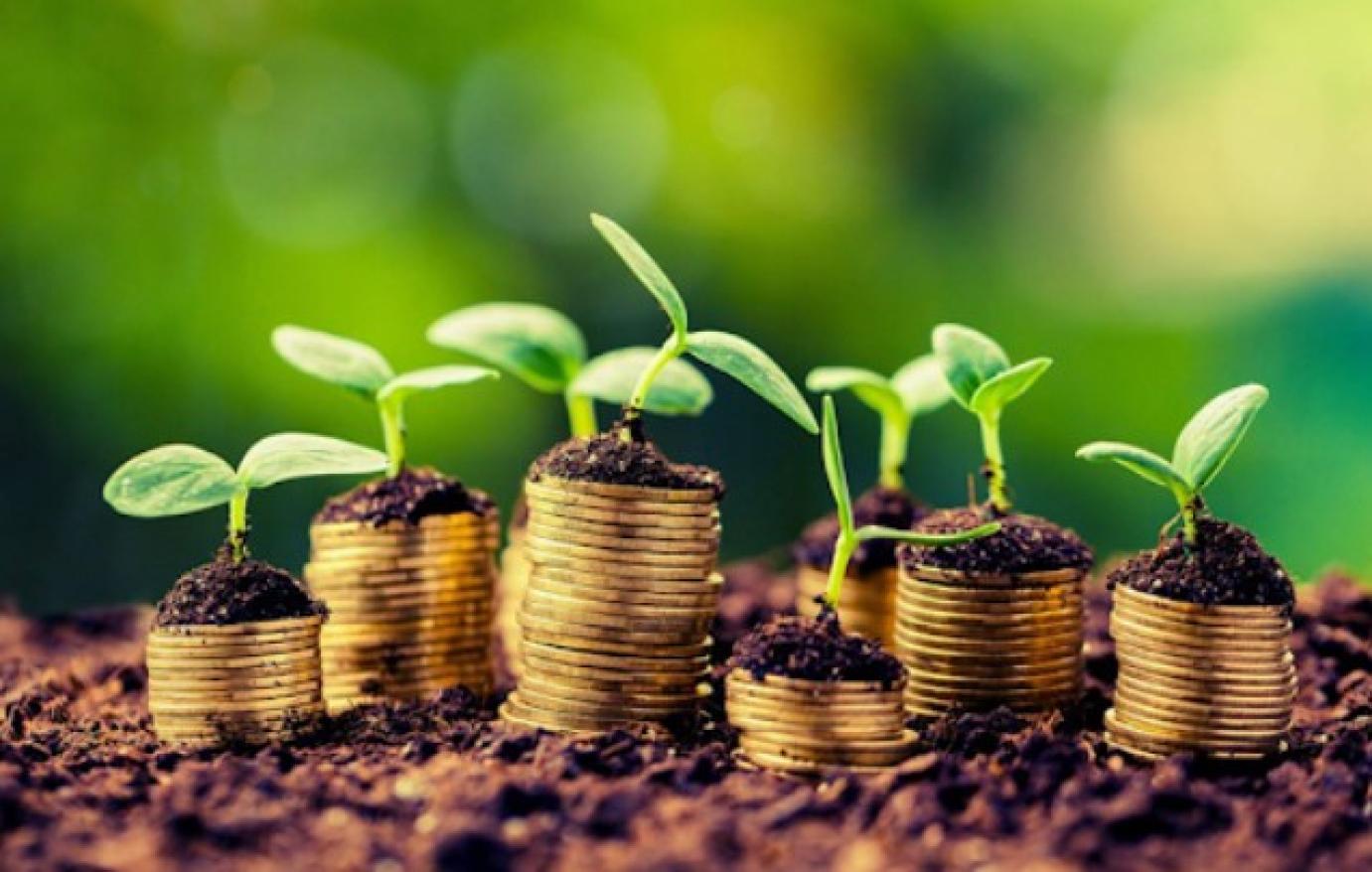 Sikeres a kisüzemi pályázat