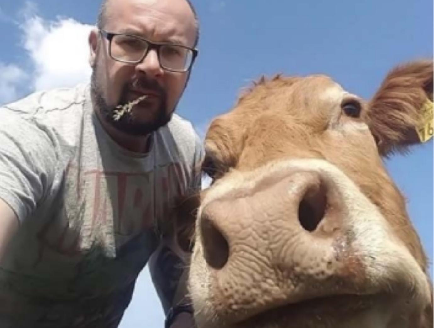 Négy ok, amiért ne legyen húsadó