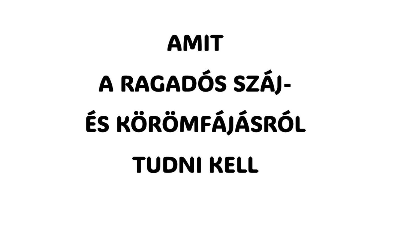 Minden amit az RSZKF-ről tudni kell - tematikus oldalt indított a MÁSZ