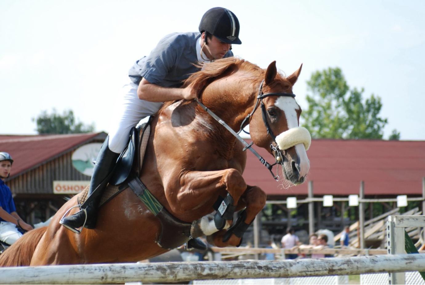 Az FEI április 11-ig meghosszabbítja a versenystopot