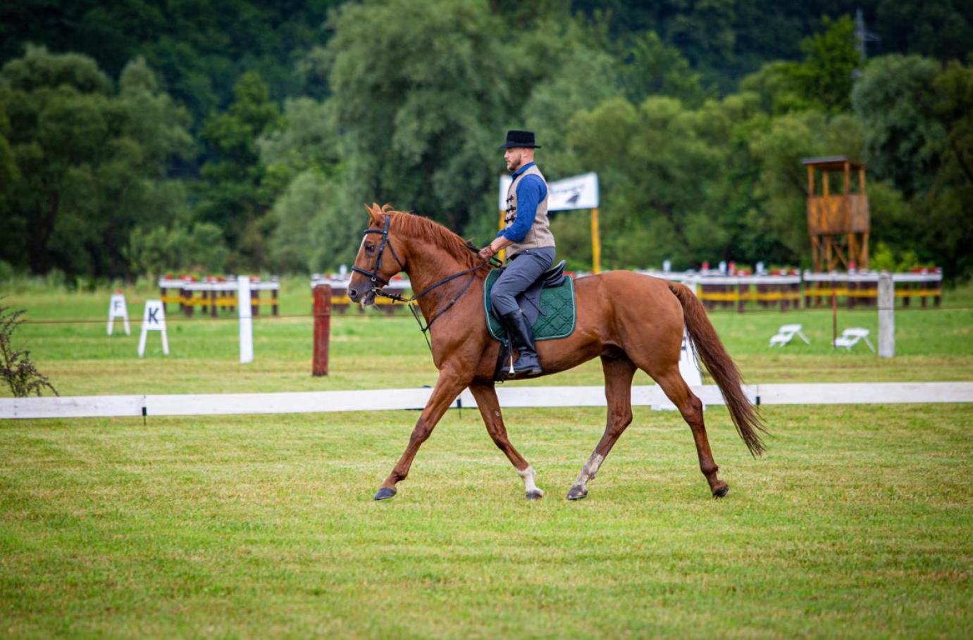 ÚJABB MÉNNEL SEGÍTI AZ AGRÁRMINISZTÉRIUM AZ ERDÉLYI LÓTENYÉSZTÉST