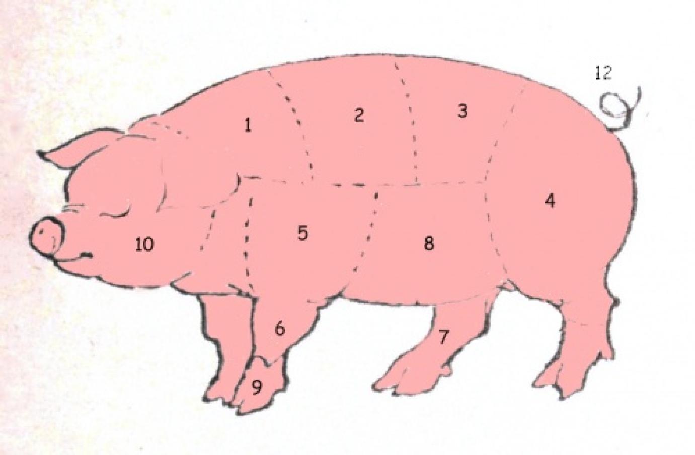 Magyar sertéshúsexportról tárgyalt a japán agrártárca képviselője Budapesten