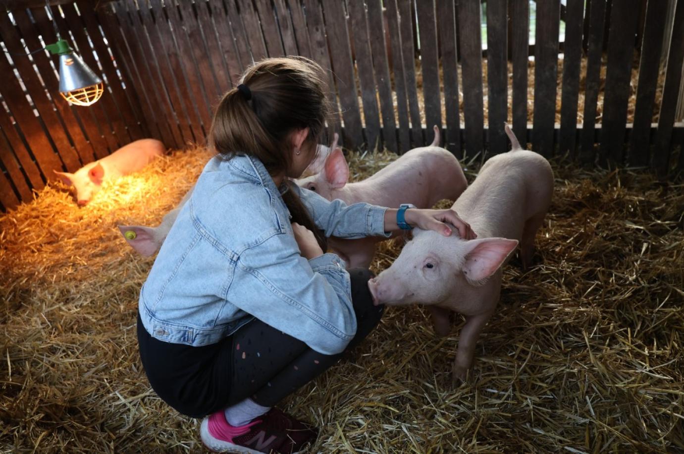 Itt vannak a legfrissebb RSZKF intézkedések