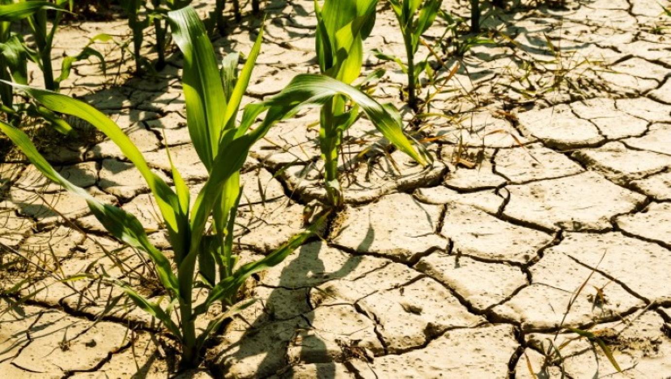 Szeptember 15-ig kell befizetni a kárenyhítési hozzájárulást!