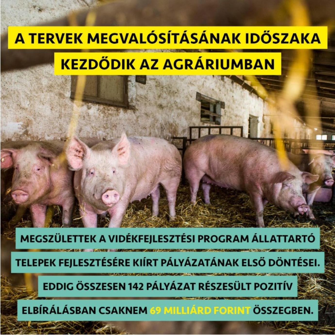 Eddig 69 milliárd forint támogatást hagytak jóvá