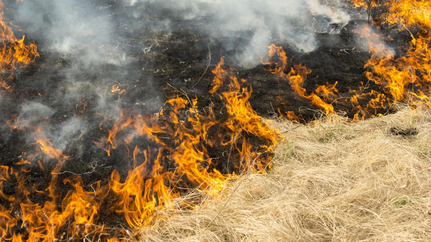 Tűzkár bejelentése
