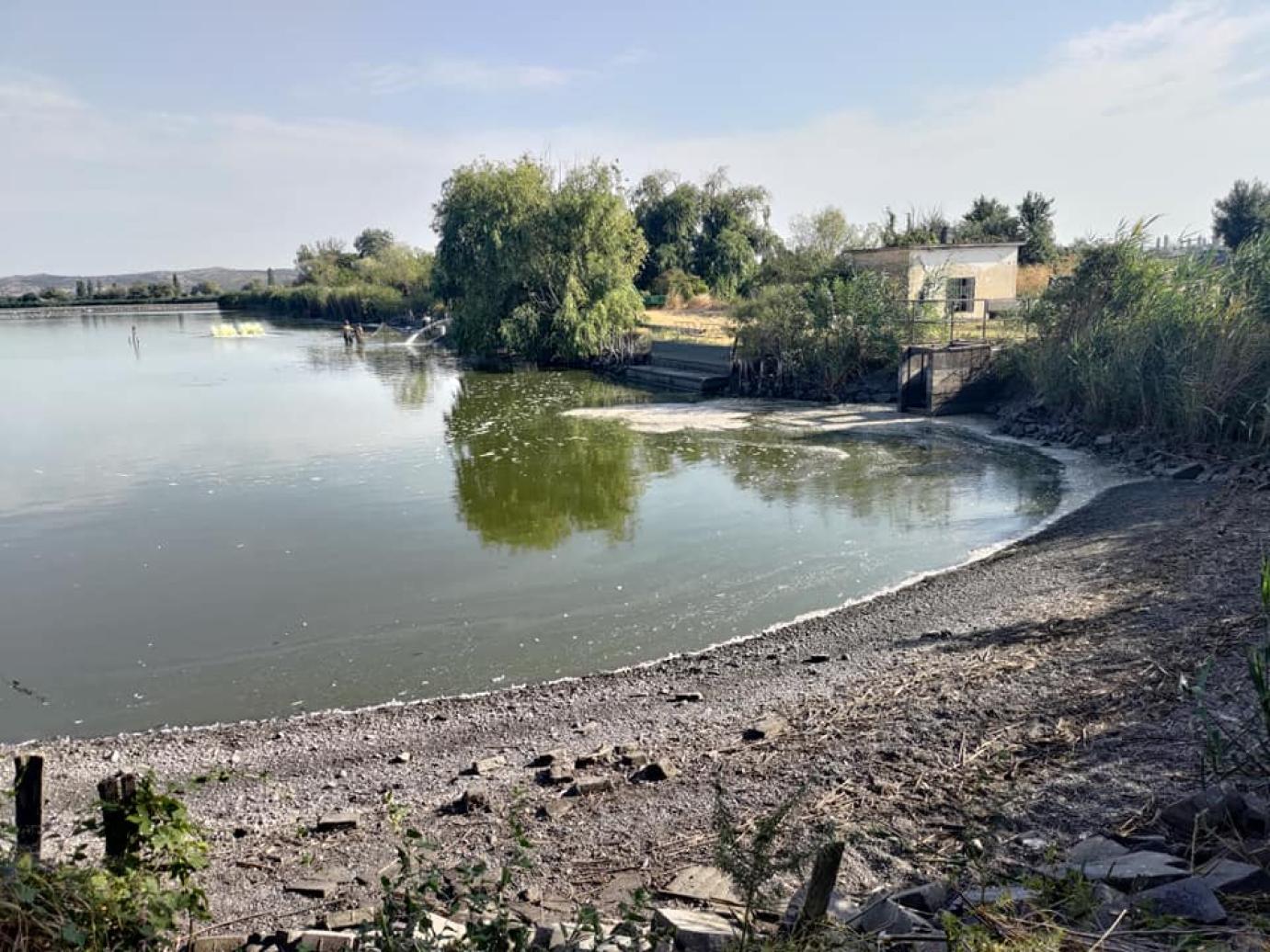 Vízhiány van, és termeléscsökkenés várható a halastavaknál