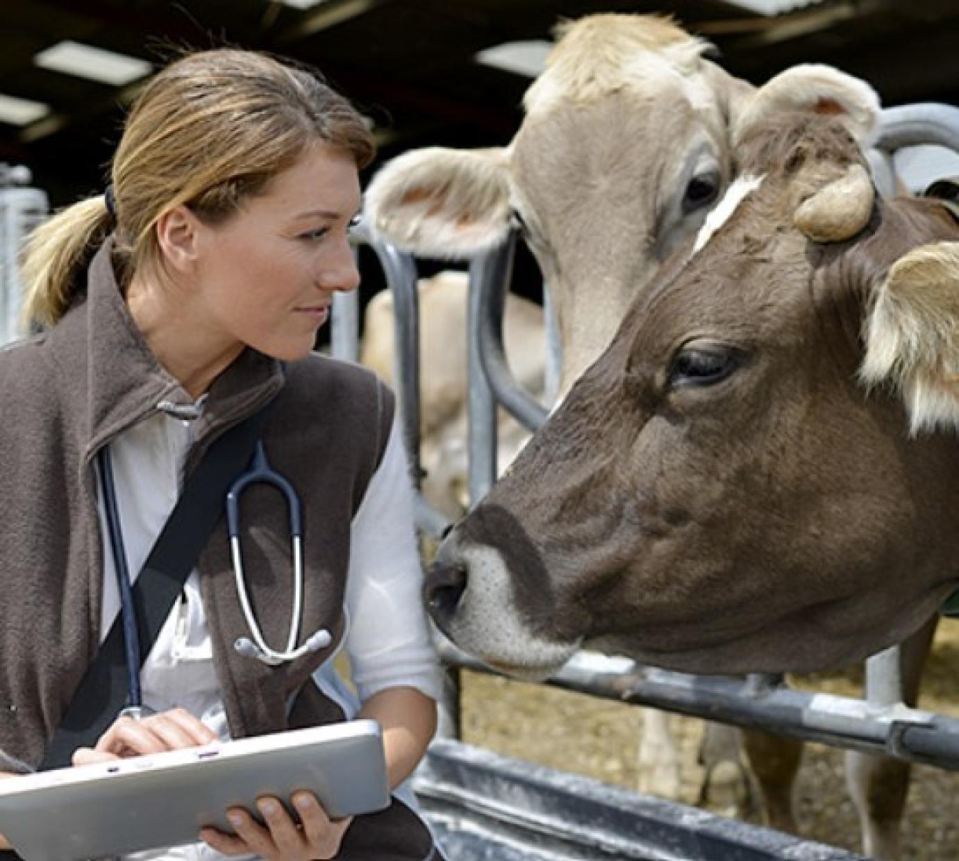 Így néz ki eddig az idei év az állattenyésztők szemével