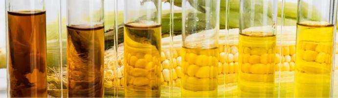 Nem örül az ukrán kukorica és olajosmag importtilalomnak a Magyar Bioüzemanyag Szövetség