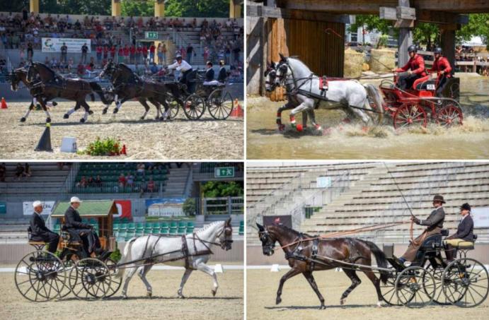 Szilvásvárad Masters Nemzetközi Fogathajtó verseny