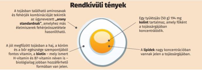 Újabb infografika jelent meg, ami a tojás fogyasztásának pozitívumairól mesél nekünk
