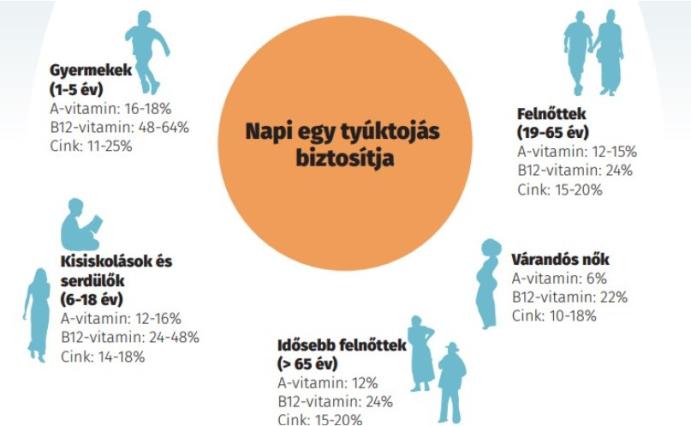 Újabb infografika jelent meg, ami a tojás fogyasztásának pozitívumairól mesél nekünk