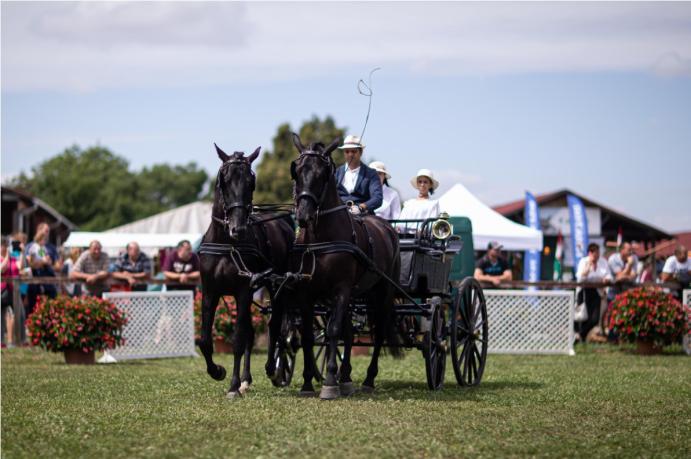 Zajos sikert hozott a 30. Farmer-Expo