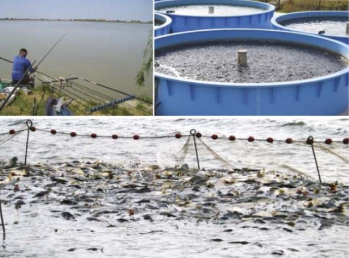 Interjú Urbányi Bélával