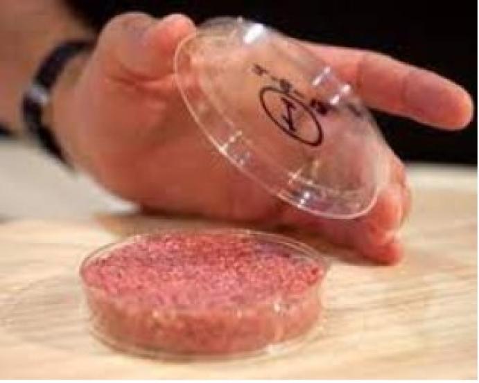 NYÍLT LEVÉL: A „hús” hús. A „tej” tej.