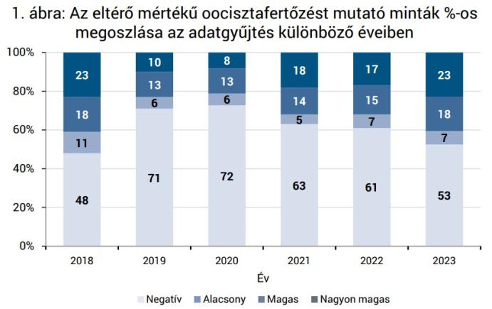 HÁZI NYULAK KOKCIDIÓZISVIZSGÁLATA kép