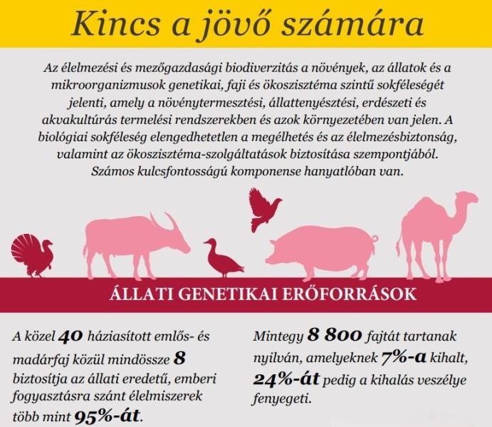 FAO infografika: Biológiai sokféleség