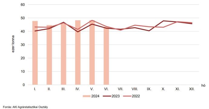 2024 első félévének sertés- és juhvágási adatai kép