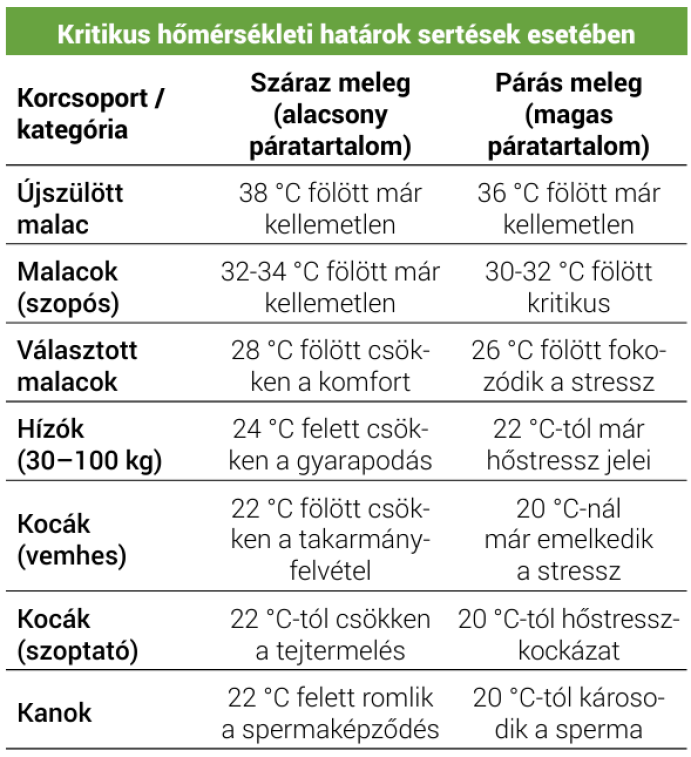 A hőstressz hatásai a sertésekre táblázat