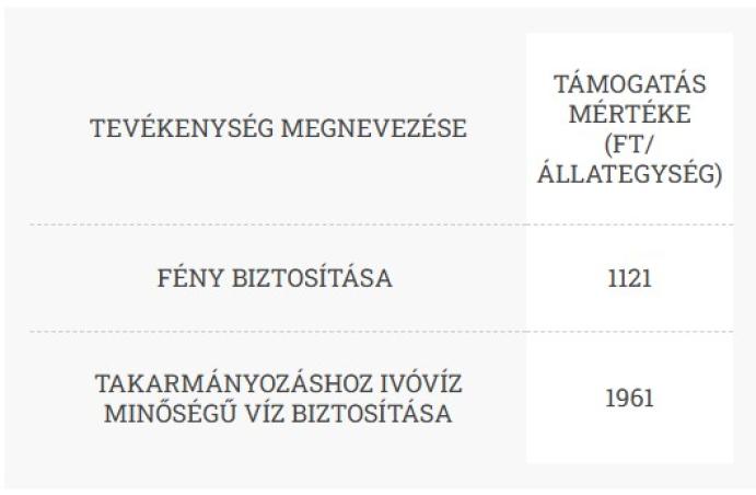 Sertés állatjóléti támogatás 2021. támogatási év I., II. és III. negyedévére történő igénybevétele
