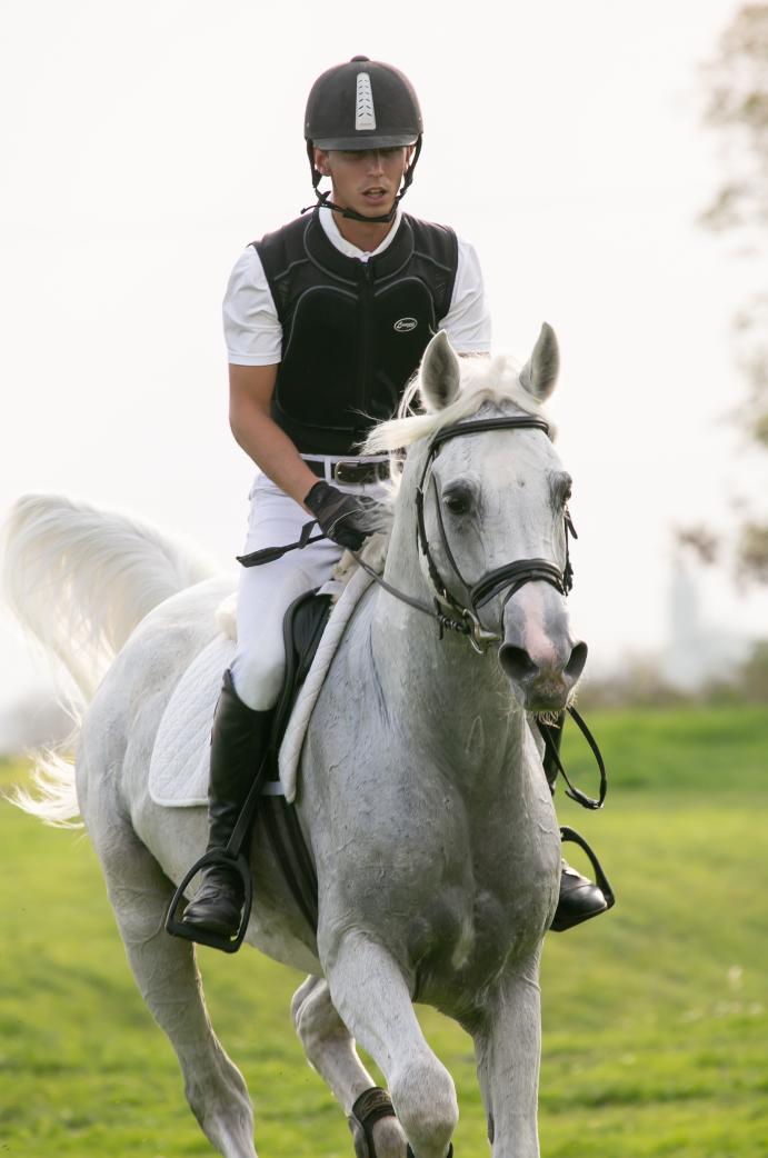 REKORDSZÁMÚ RÉSZTVEVŐ AZ ARAB MÉNVIZSGÁN kép2