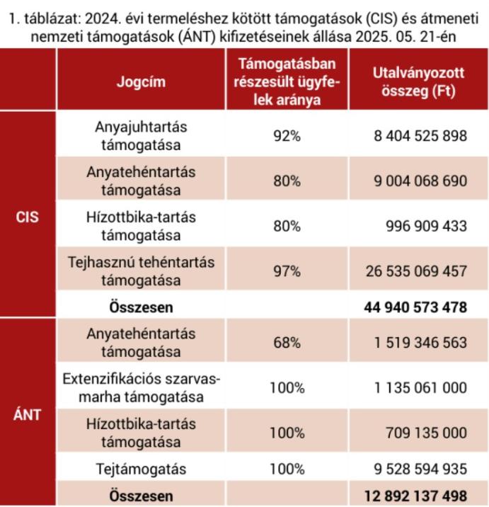 2024. évi támogatások